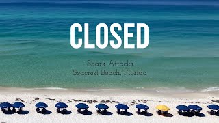 The Beaches Are CLOSED Shark Attacks [upl. by Hukill191]