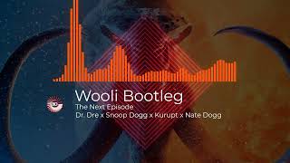 Dr Dre amp Snoop Dogg  The Next Episode Wooli Bootleg Better Quality [upl. by Belva844]