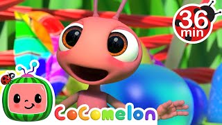 Row Row Row Your Boat V2 Ant Version  CoComelon  Kids Song [upl. by Annavaj]