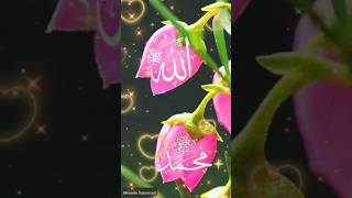 Naat Nahi Hai Koi Duniya Mein Hamara Ya Rasool Allah 😭shortvideoviral ❤❤❤ [upl. by Lika]