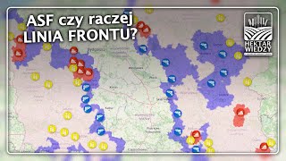 ASF czy raczej LINIA FRONTU  HEKTAR WIEDZY [upl. by Ydeh]