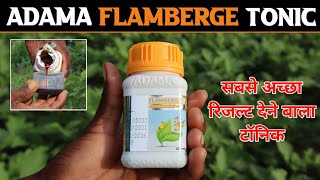 Flamberge Adama  सबसे अच्छा रिजल्ट देने वाले टॉनिक  Best Tonic for Plant [upl. by Ronen]