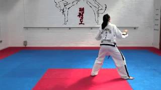 Hwa Rang Tul and basic movements for grading to 1st kup [upl. by Ahsan]