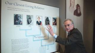 Richard Dawkins Why are there still Chimpanzees  Nebraska Vignettes 2 [upl. by Blynn936]