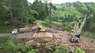 Owhango Hikumutu forestry operation [upl. by Leiand502]