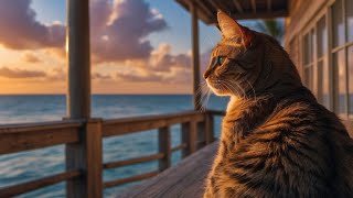 Beach Ambience  Ocean Waves SoundsPurring Cat  Calming Wave Sounds White Noise for Deep Sleep [upl. by Taub]