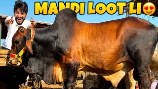 ALHAMDULILLAH NASEEB KA SODA HOGAYA 😍 MANDI LOOT LI ❤️  MANDI VLOG  MISHKAT KHAN [upl. by Bohi]