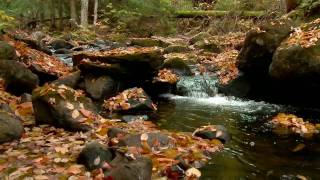 Autumn in the Adirondacks  VisitAdirondackscom [upl. by Clapp]