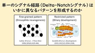 第2回（1）筑波大学 吉原雅大 先生 「からだの成り立ちを求めて」（グローバル教育院ヒューマニクス学位プログラム） [upl. by Namyw]