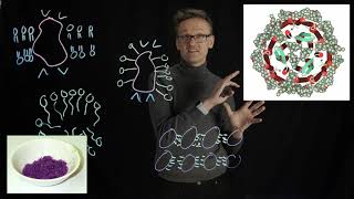 Lecture 08 concept 06 The first membrane protein structure  bacteriorhodopsin [upl. by Eniala]