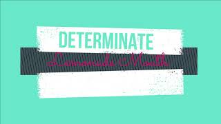 Determinate  Karaoke  Lemonade Mouth Cast [upl. by Ydolem]