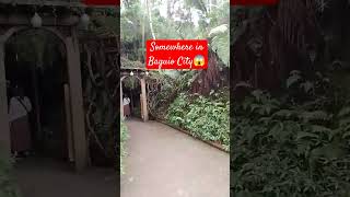 Japanese Tunnel at Botanical Garden Baguio City😱😊❤️😍 [upl. by Rance509]