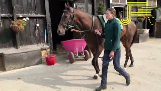 Newmarket Gallops 170824  Julia Feilden Racing [upl. by Surtimed]