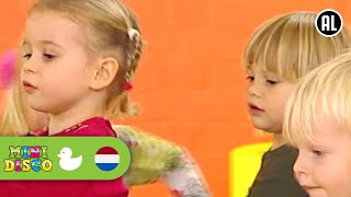 DE ZEVENSPRONG  Kinderliedjes  Kinderdagverblijf  Minidisco [upl. by Werdnaed]