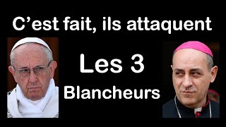 Cest fait ils attaquent les 3 blancheurs LEucharistie le Pape la Vierge Marie [upl. by Wynny]