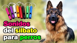 Sonidos de Silbido para Perros [upl. by Banwell407]