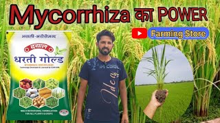 Mycorrhiza का POWER mycorrhiza का सही use [upl. by Zetana548]