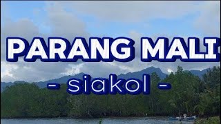 Parang mali siakol guitar chords with lyrics [upl. by Lupee]