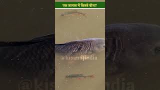 Fish Farming के लिए मछली की ये प्रजातियां हैं सर्वोत्तम Aquaculture  Fishing  Fish Business [upl. by Marcia210]