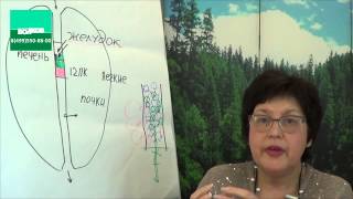 Вебинар №5 Как устроено «естественное очищение» организма [upl. by Nahaj420]