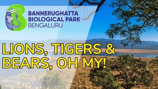 Bannerughatta Biological Park Safari [upl. by Aynav]