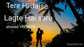 Tere Hi Jaise Lagate Hai sare Slowed REVERB Lofi song viral trending song slowedandreverb lofi [upl. by Adelaja]