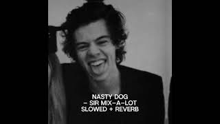 nasty dog — sir mixalot — slowed  reverb [upl. by Hainahpez]