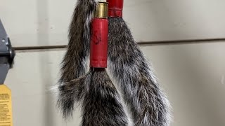 Squirrel Tail Ornament and Trophy Tail [upl. by Eiramana]