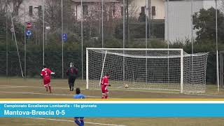 Eccellenza Lombardia 20182019 18a giornata MantovaBrescia 05 Highlights [upl. by Gassman]