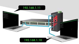 VLAN Trunking with an Antaira amp Cisco Switch [upl. by Valli]