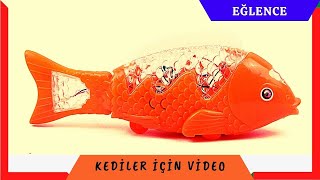 KEDİLER İÇİN video [upl. by Ahsinod919]