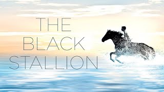 The Black Stallion Full Movie Super Review and Fact in Hindi  Kelly Reno  Mickey Rooney [upl. by Allekram734]