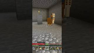 Freaky ahhh llamas Minecraft [upl. by Ahseei]