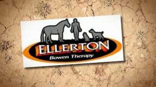 Remedial Massage Bendigo  Ellerton Bowen Therapy [upl. by Amsa]