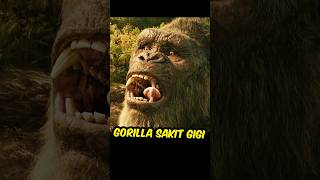 Gorilla Sakit Gigi cuplikanfilm [upl. by Lucchesi61]