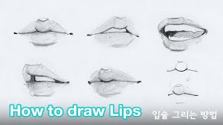 How to draw lips by Chommang Tutorial [upl. by Eyla]