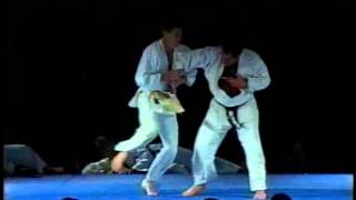 Niseido JuJitsu Demo Team at 1997 US Open Karate Tournament [upl. by Ilanos]