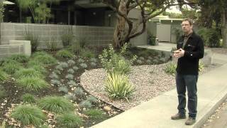 MidCentury Modern Landscape Design [upl. by Trimble]