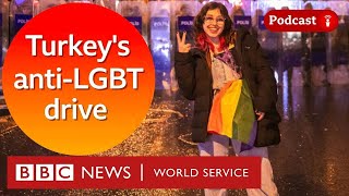 Whats behind the Turkish presidents antiLGBT push  The Global Jigsaw podcast BBC World Service [upl. by Sivartal379]