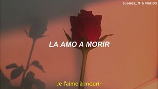 Francis Cabrel  Je laime à mourir  Letra Español  Paroles [upl. by Bernelle400]