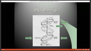 Radiobiology Review [upl. by Trella]