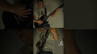 Rammstein  Bestrafe Mich guitar cover rammstein guitarcover bestrafemich blackrooster gagt2 [upl. by Varian]