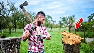 Als die Nachbarin sah was der Besitzer mit dem Hund machen wollte rief sie sofort die Polizei 😱🚨 [upl. by Amrac]