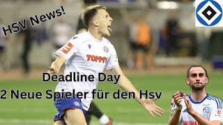 Hsv News  Deadline Day Hsv verpflichtet 2 neue Spieler [upl. by Led]