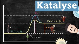 Einfach erklärt Katalyse anhand exothermer und endothermer Energiediagramme [upl. by Atiuqrahs309]