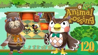 Animal Crossing New Leaf🍃120 Selbst die Verwirrung ist verwirrt [upl. by Nonnaihr]