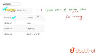 Deamination occurs in [upl. by Comyns]