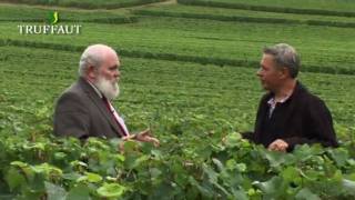 La vigne  les conseils du directeur du vignoble de Veuve Clicquot en Champagne  Truffaut [upl. by Hulbert]