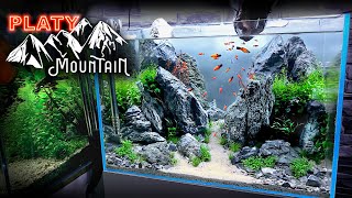 Aquascape Tutorial PLATY FISH Mountain Aquarium How To Step by Step Planted Tank Guide [upl. by Ellesirg]