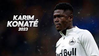 Karim Konaté  The Next Great Striker of the Red Bull Project  2023ᴴᴰ [upl. by Beutner64]